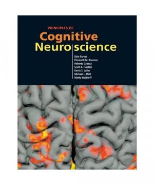 gebrauchtes Buch – Dale Purves, Elizabeth Brannon – Principles of Cognitive Neuroscience
