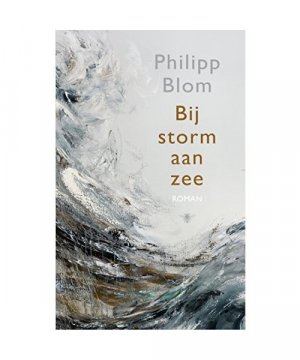 Bij storm aan zee