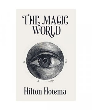 gebrauchtes Buch – Hilton Hotema – The Magic World gebrauchtes Buch – Hilton Hotema – The Magic World
