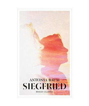 gebrauchtes Buch – Antonia Baum – Siegfried