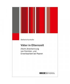 gebrauchtes Buch – Stefanie Aunkofer – Väter in Elternzeit