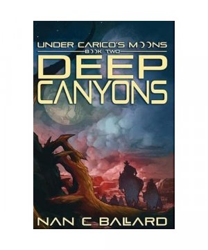 gebrauchtes Buch – Nan C Ballard – Deep Canyons