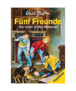 gebrauchtes Buch – Enid Blyton – 5 Freunde