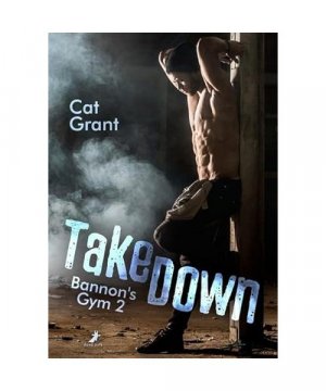 gebrauchtes Buch – Cat Grant – Takedown