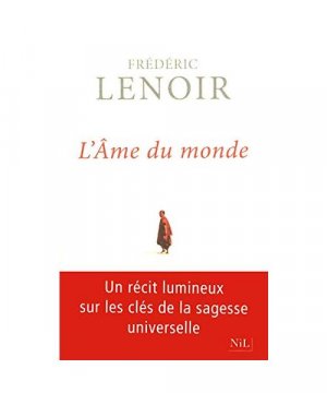 gebrauchtes Buch – Frédéric Lenoir – L'âme du monde