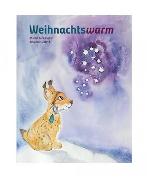 gebrauchtes Buch – Martin Fontanellaz – Weihnachtswarm