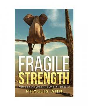 gebrauchtes Buch – Phyllis Ann – Fragile Strength