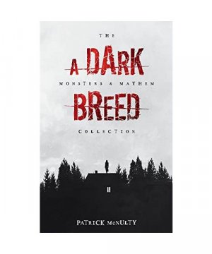 gebrauchtes Buch – Patrick McNulty – A Dark Breed