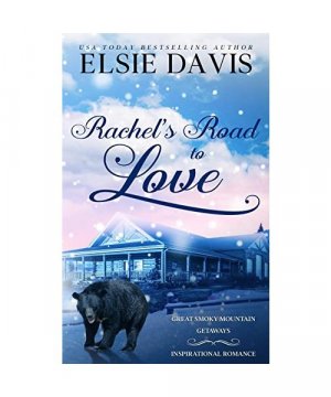 gebrauchtes Buch – Elsie Davis – Rachel's Road to Love