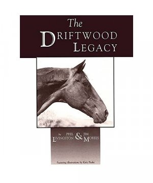 gebrauchtes Buch – Phil Livingston – Driftwood Legacy