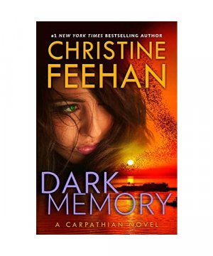 gebrauchtes Buch – Christine Feehan – Dark Memory