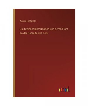 Die Steinkohlenformation und deren Flora an der Ostseite des Tödi