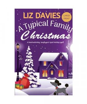 gebrauchtes Buch – Liz Davies – A Typical Family Christmas