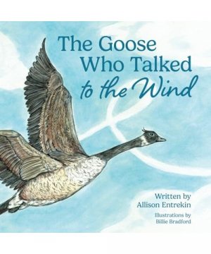 gebrauchtes Buch – Allison Entrekin – The Goose Who Talked to the Wind: A classic children's story book about discovering purpose & bravery