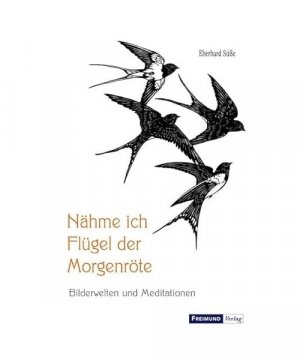 gebrauchtes Buch – Eberhard Süße – Nähme ich Flügel der Morgenröte: Bilderwelten und Meditationen