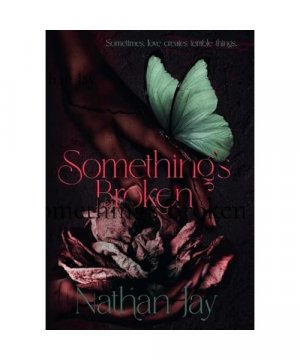 gebrauchtes Buch – Nathan Jay – Something's Broken