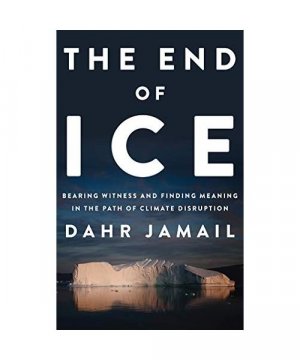 gebrauchtes Hörbuch – Dahr Jamail – The End of Ice: Bearing Witness and Finding Meaning in the Path of Climate Disruption