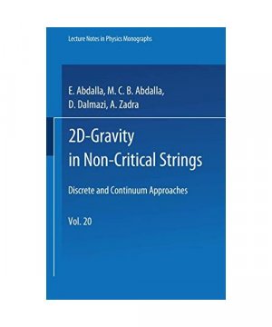 2D-Gravity in Non-Critical Strings: Discrete and Continuum Approaches (Lecture Notes in Physics Monographs, 20, Band 20)