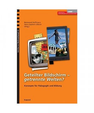 gebrauchtes Buch – Geteilter Bildschirm ? getrennte Welten?