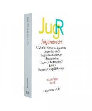 gebrauchtes Buch – Jugendrecht