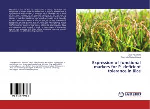 Expression of functional markers for P- deficient tolerance in Rice