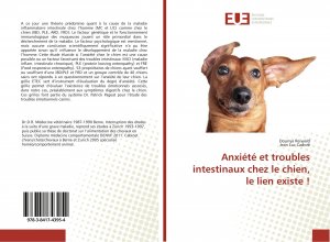 Anxiété et troubles intestinaux chez le chien, le lien existe !