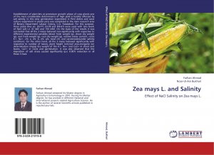 Zea mays L. and Salinity / Effect of NaCl Salinity on Zea mays L.