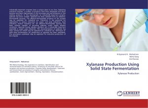 Xylanase Production Using Solid State Fermentation / Xylanase Production