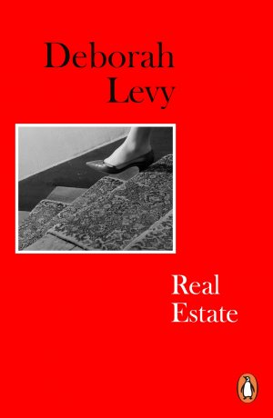 neues Buch – Deborah Levy – Real Estate / Living Autobiography 3