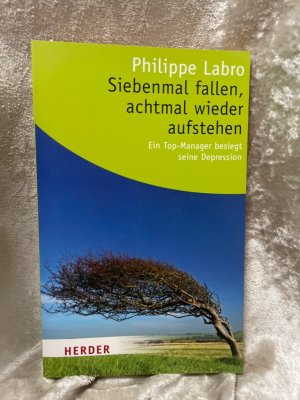 gebrauchtes Buch – Di Palo – Siebenmal fallen, achtmal wieder aufstehen: Ein Topmanager besiegt seine Depression (HERDER spektrum) Ein Topmanager besiegt seine Depression