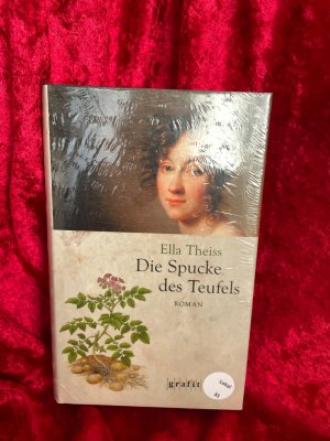 Die Spucke des Teufels : Roman. Historischer Roman