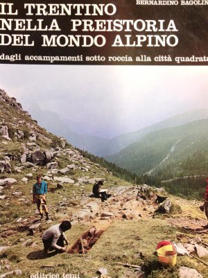 gebrauchtes Buch – Bernardino Bagolini – Il Trentino nella preistoria del mondo alpino. Dagli accampamenti sotto roccia alla citta´quadrata.