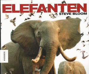 gebrauchtes Buch – Steve Bloom – Elefanten. Aus dem Englischen von Marion Zerbst.