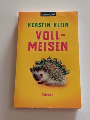 gebrauchtes Buch – Kerstin Klein – Vollmeisen : Roman