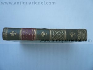 Crusades, History of..., Saint Maurice, anno 1824