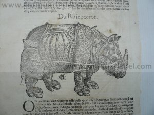 The Rino, by David Kandel, anno 1570