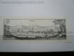 Balingen, anno 1646, Panorama, Merian Matthäus