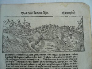 Crocodile, Münster, Sebastian, Cosmographia, anno 1588 Period: 1588 (published) Publication: Cosmographey Oder Beschreiung Aller Lander… Color: Black & White Size: 30 x 20 cm. (sheet), 8 x 18 cm. (printed area) Condition: little brownish, some wormholes, some tears on margins. Sebastian Munster (1489 - 1552) was one of the three most renowned cartographers of the sixteenth century, along with Mercator and Ortelius. This woodblock is from a German edition of Munster's monumental history of the world.