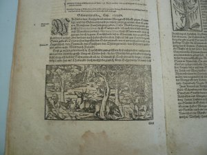 Baden, Schwarzwald, Adel, Geschichte, anno 1590, Münster Sebastian, Cosmographie - Beschreibt u.a.: Schwaben, Zürich, Genealogie der Herzöge von Schwaben […]