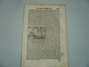 Jan Hus auf dem Scheiterhaufen, anno 1570, S. Muenster, Cosmographia ORIGINAL Blatt: 30 x 20 cm., mit einem kleinen Holzschnitt der Verbrennung