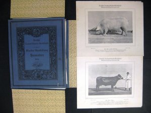 antiquarisches Buch – Greve, W.  – Wander-Ausstellung Hannover 1914. Deutsche Landwirtschafts-Gesellschaft.