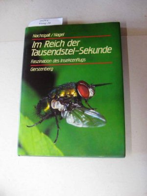 Im Reich der Tausendstel-Sekunde Faszinantion des Insektenfluges