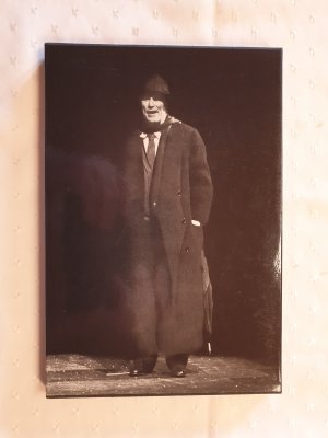 Minetti, Ein Porträt des Künstlers als alter Mann. Mit sechzehn Fotos von Digne Meller Marcovicz