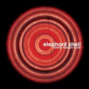 elephant shell