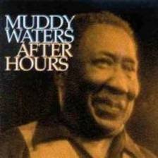 gebrauchter Tonträger – muddy waters – after hours