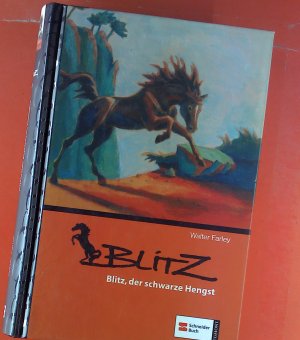 Blitz, der schwarze Hengst