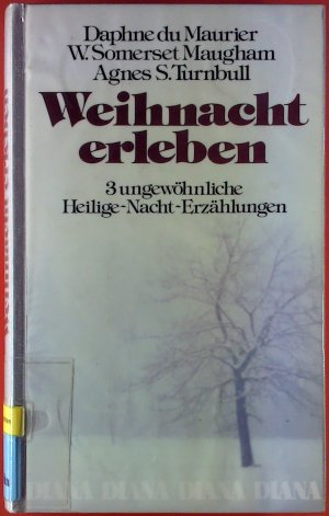 Weihnacht erleben. 3 ungewöhnliche Heilige-Nacht-Erzählungen