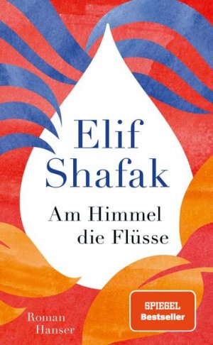 gebrauchtes Buch – Shafak, Elif und Michaela Grabinger – Am Himmel die Flüsse: Roman