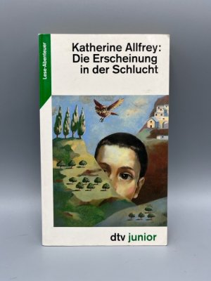 gebrauchtes Buch – Katherine Allfrey – Die Erscheinung in der Schlucht gebrauchtes Buch – Katherine Allfrey – Die Erscheinung in der Schlucht