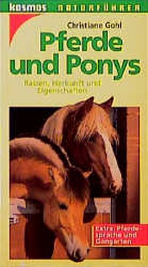 Pferde und Ponys